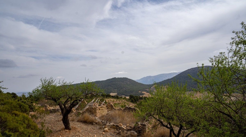 Murcia - Lorca - 16300m2