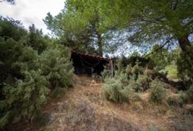 Lorca 16300&nbsp;м²