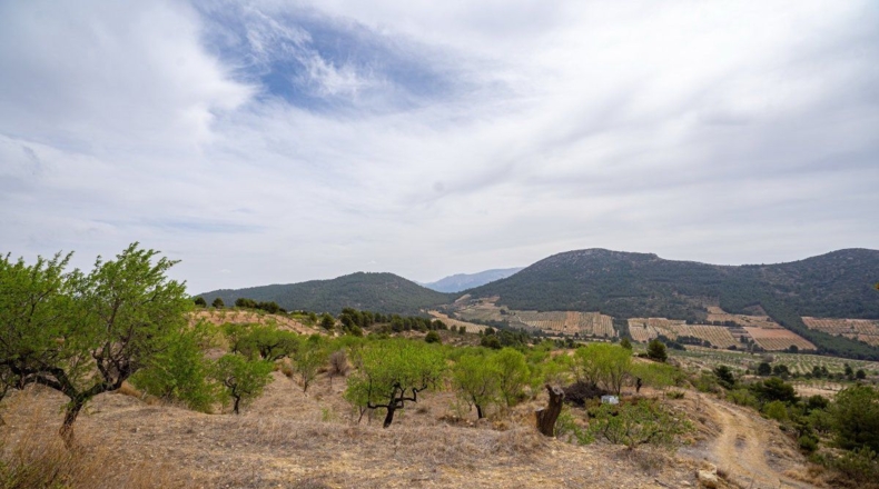 Murcia - Lorca - 16300m2