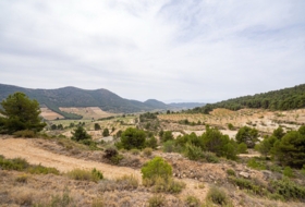 Lorca 16300&nbsp;м²