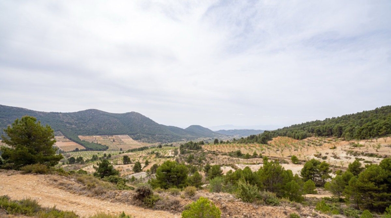 Murcia - Lorca - 16300m2