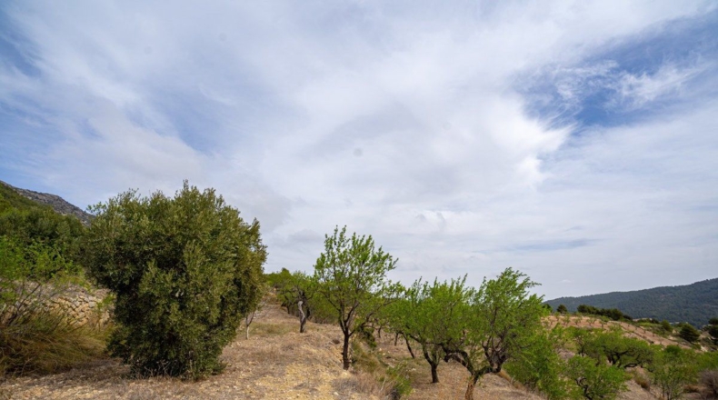 Murcia - Lorca - 16300m2