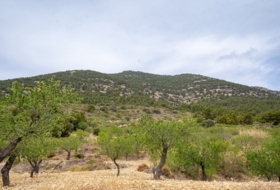 Lorca 16300&nbsp;м²