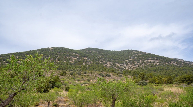 Murcia - Lorca - 16300m2