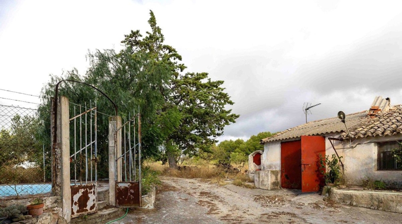 Murcia - Bullas - 50000m2