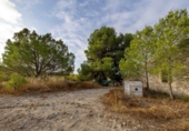 Country house with land for sale on España, Bullas, ref: TR321411 photo