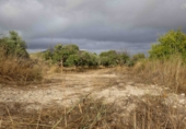 Country house with land for sale on España, Bullas, ref: TR321411 photo