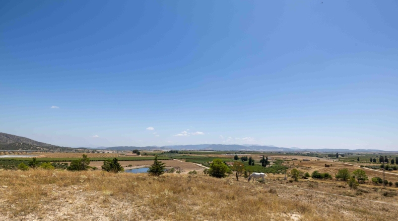 Murcia - Caravaca de la Cruz - 12281m2