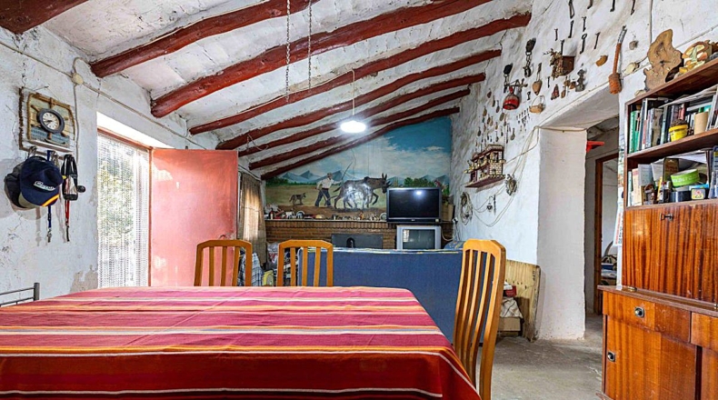 Murcia - Бульяс - 50000m2