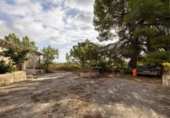 Rural estate for sale on España, Bullas, ref: TR322705 photo