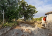 Rural estate for sale on España, Bullas, ref: TR322705 photo