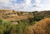 Rural estate for sale on España, Bullas, ref: TR322705 photo
