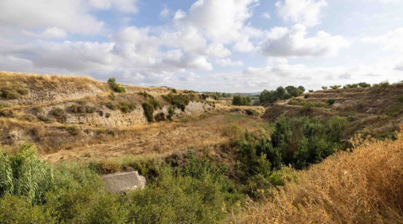 Murcia - Бульяс - 50000m2