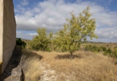 Finca rústica en venda a Mula ref.: TR339571 foto