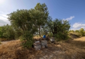 Finca rústica en venda a Mula ref.: TR339571 foto
