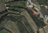Non-developable land for sale in Montroi ref: TR253776 photo