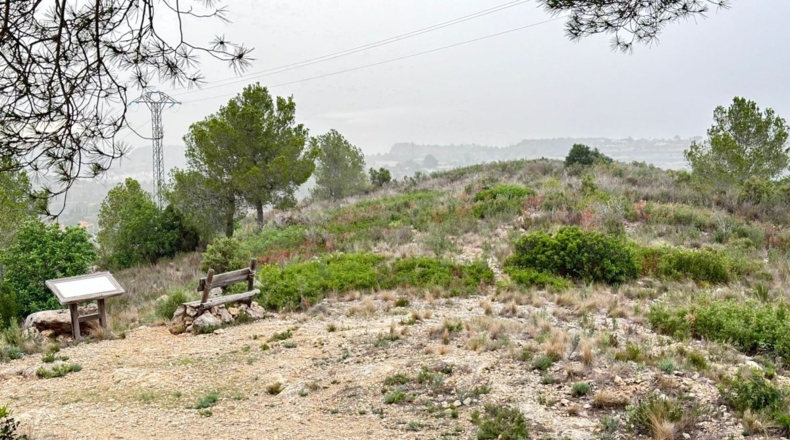 Valencia - Real - 8601m2