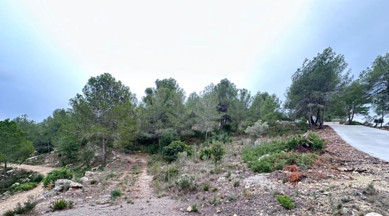 Valencia - Real - 8601m2