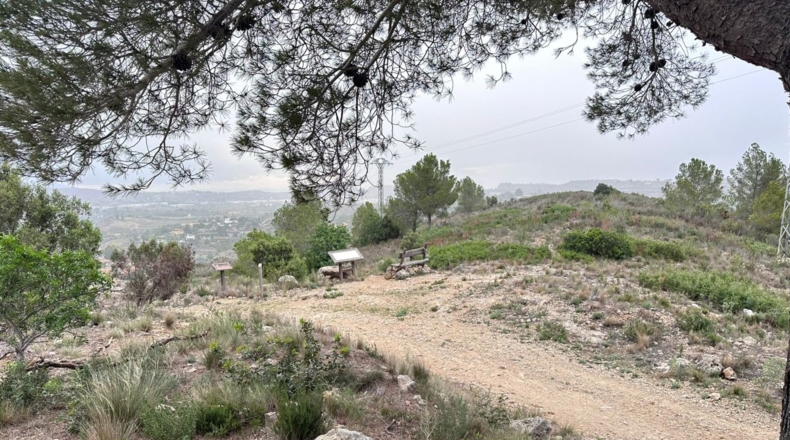 Valencia - Real - 8601m2