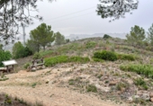Terreno no urbanizable en venta en Real ref: TR253777 foto
