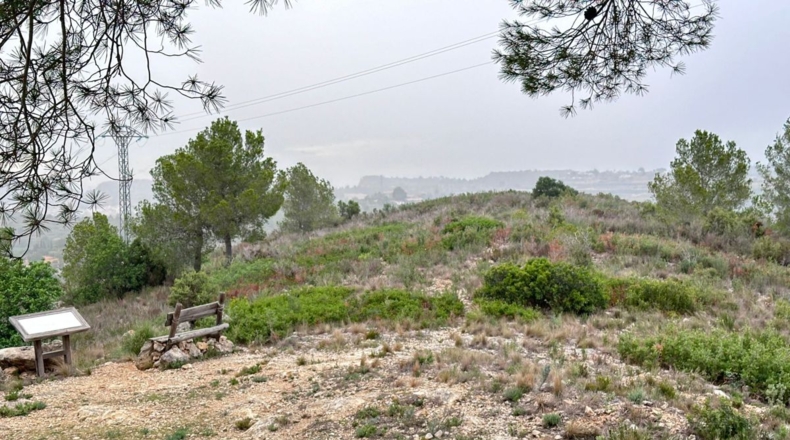 Valencia - Real - 8601m2