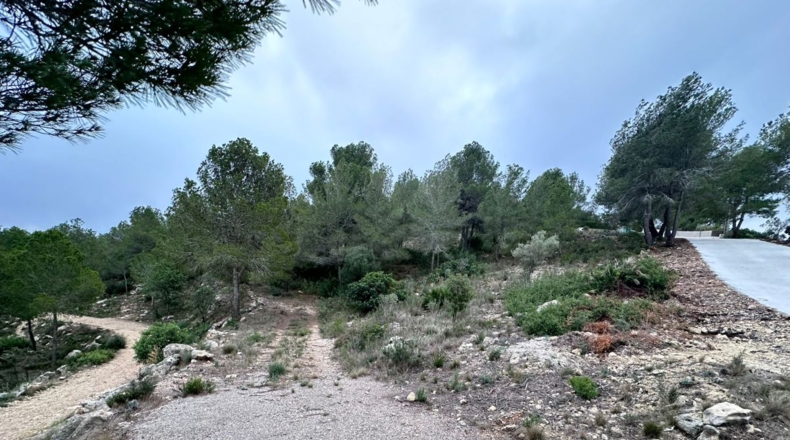 Valencia - Real - 8601m2