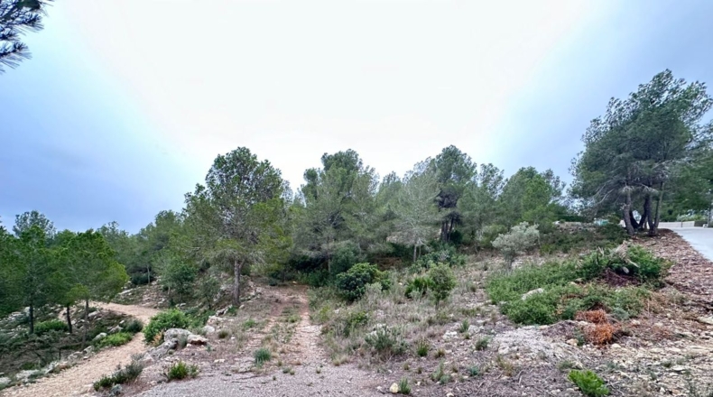 Valencia - Real - 8601m2