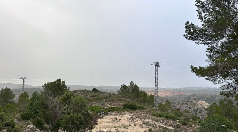 Valencia - Real - 8601m2