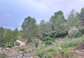 Terreno no urbanizable en venta en Real ref: TR253777 foto