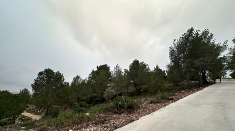 Valencia - Real - 8601m2