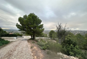Foto 17