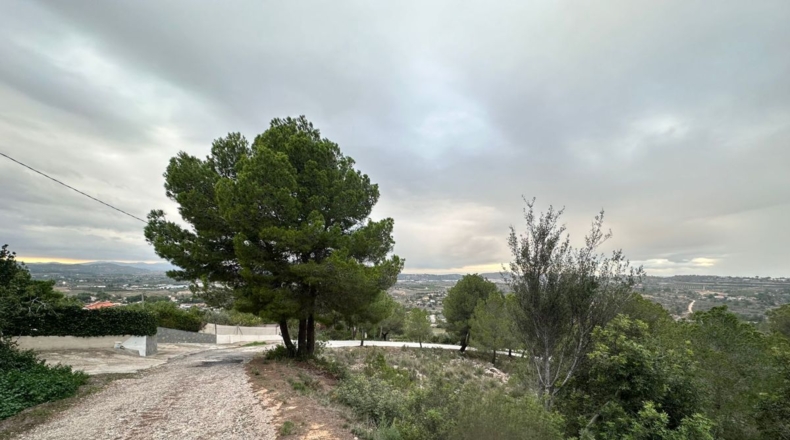 Valencia - Real - 8601m2