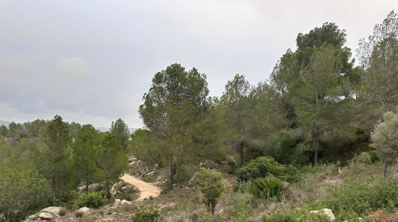 Valencia - Real - 8601m2