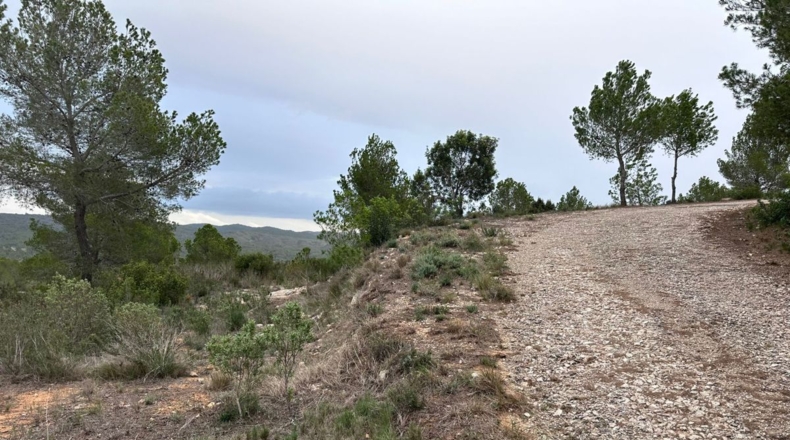 Valencia - Real - 8601m2