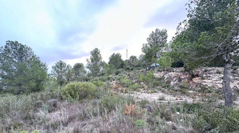Valencia - Real - 8601m2