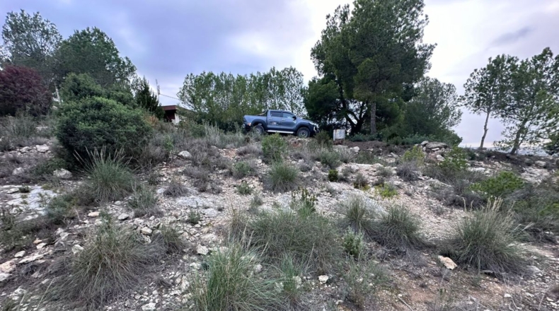 Valencia - Real - 8601m2