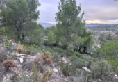 Terreno no urbanizable en venta en Real ref: TR253777 foto