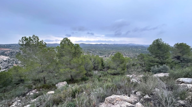 Valencia - Real - 8601m2