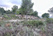 Terreno no urbanizable en venta en Real ref: TR253777 foto