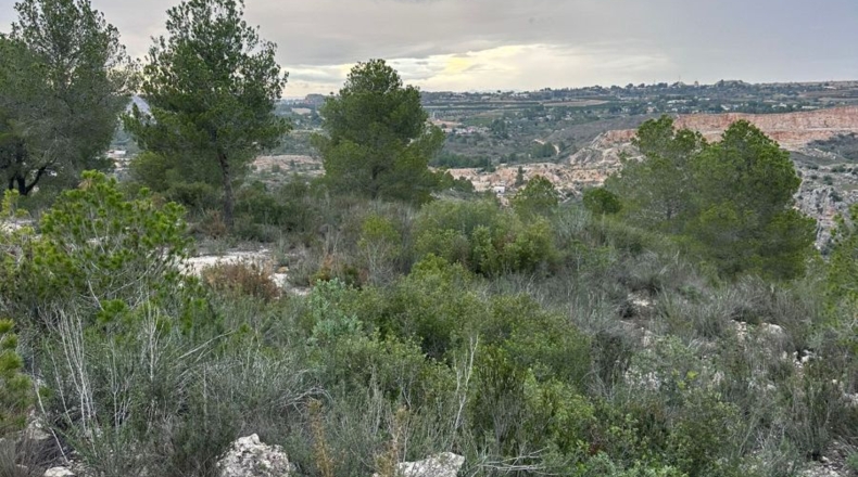 Valencia - Real - 8601m2