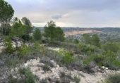 Terreno no urbanizable en venta en Real ref: TR253777 foto