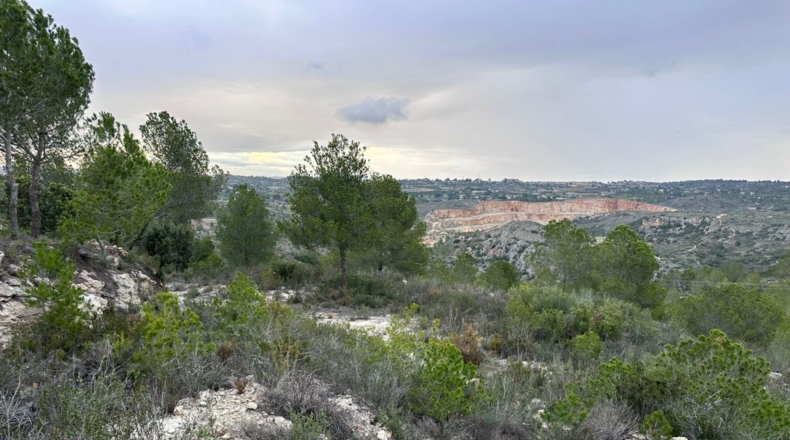 Valencia - Real - 8601m2