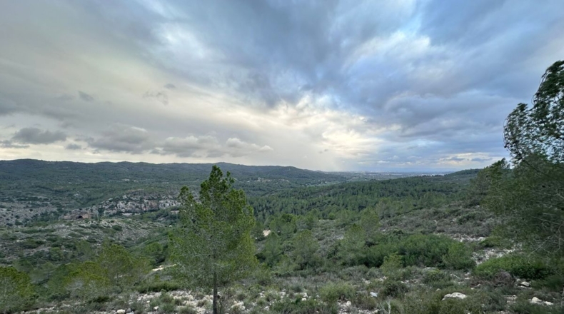 Valencia - Real - 8601m2