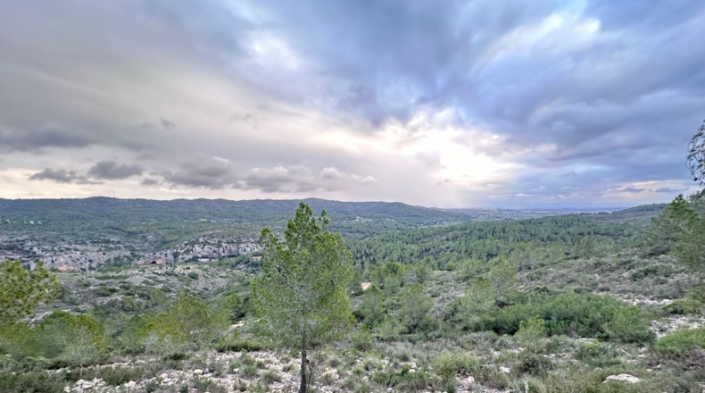 Valencia - Real - 8601m2