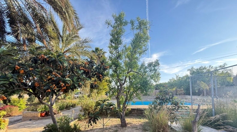 Valencia - Torrent - 5022m2