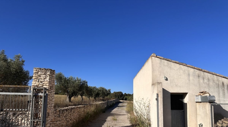 Valencia - Requena - 561m2