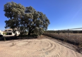 Casa de pueblo en venta en Requena ref: TR381330 foto