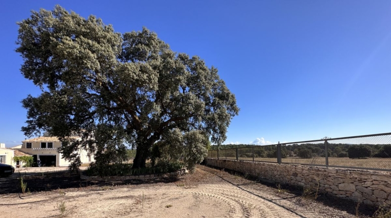 Valencia - Requena - 561m2