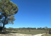 Casa de pueblo en venta en Requena ref: TR381330 foto