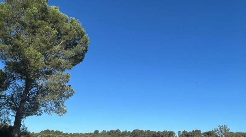 Valencia - Requena - 561m2